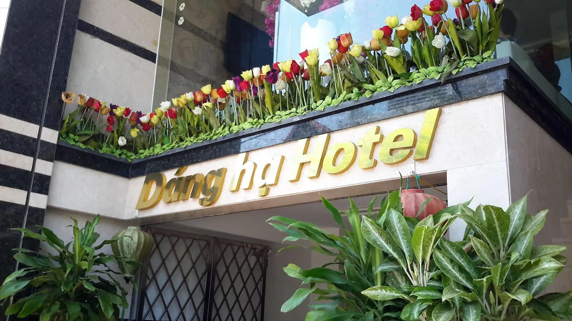 Dang Ha Hotel Da Nang